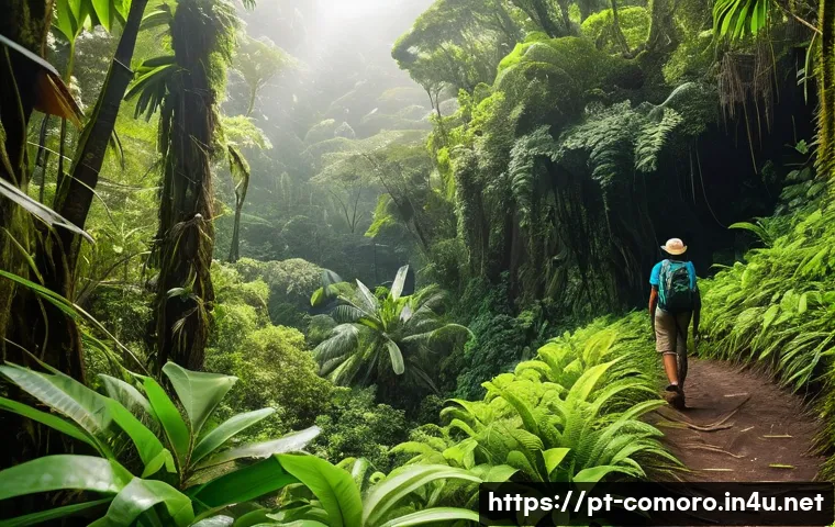 코모로 생태관광 추천지 - A lush tropical rainforest scene in the Comoros Islands, featuring dense, vibrant green foliage with...