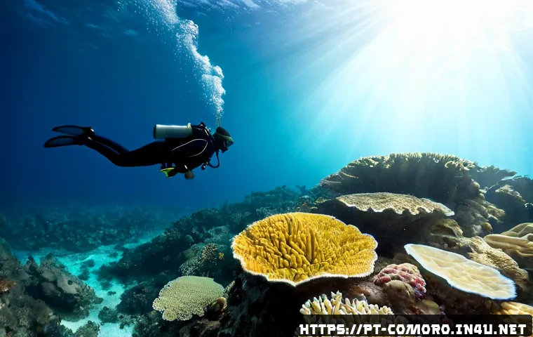 Home 17 코모로 스쿠버 다이빙 스팟 - Photorealistic underwater scene at a Comoros scuba diving spot, two fully equipped divers in modest ...