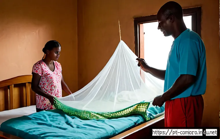 Saúde nas Comores: doenças mais comuns, prevenção e como preparar a viagem 3 코모로 주요 질병과 예방 방법 관련 이미지 1